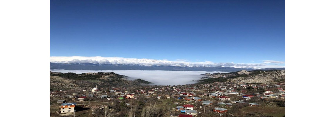 Zengin Çay Firmasının Zengin Çay Firmasının