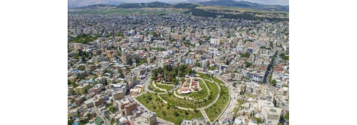 Adıyaman Ayder Timya Siyah Çay