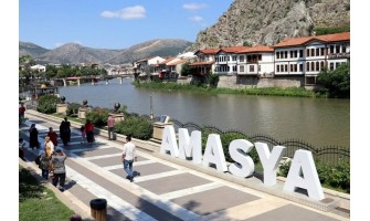 Amasya Ayder Timya Siyah Çay