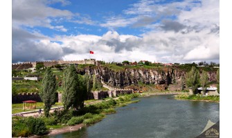 Ardahan Ayder Timya Siyah Çay