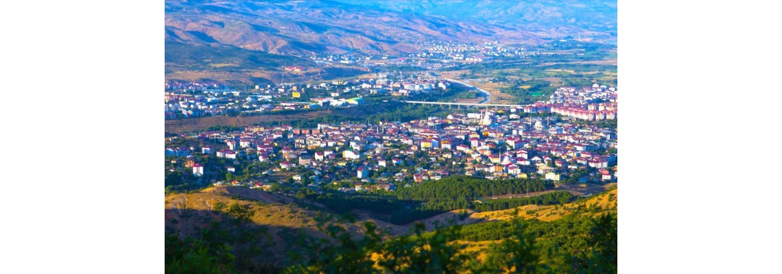 Bingöl Ayder Timya Siyah Çay