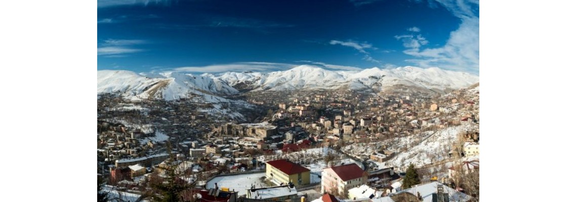 Bitlis Ayder Timya Siyah Çay