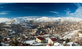 Bitlis Ayder Timya Siyah Çay