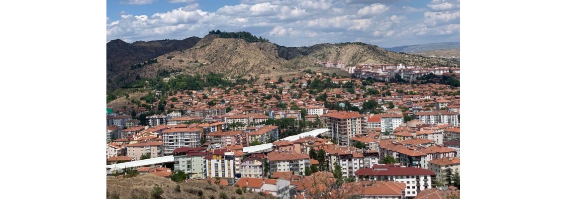 Çankırı Ayder Timya Siyah Çay