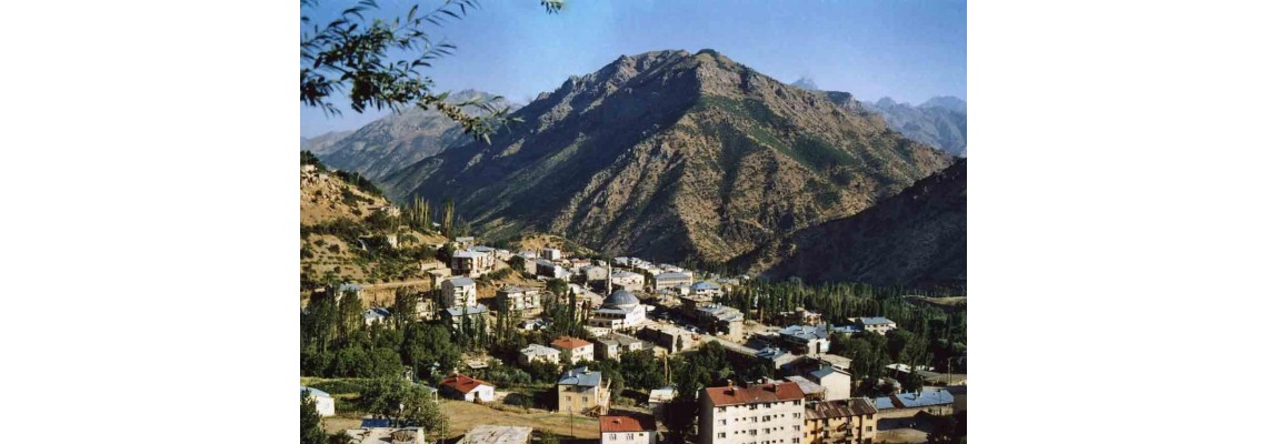 Hakkari Ayder Timya Siyah Çay