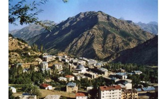 Hakkari Ayder Timya Siyah Çay