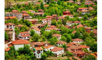 Karabük Ayder Timya Siyah Çay