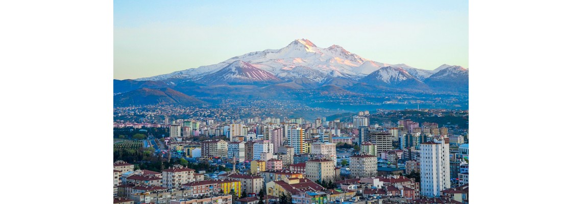 Kayseri Ayder Timya Siyah Çay