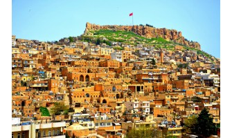 Mardin Ayder Timya Siyah Çay