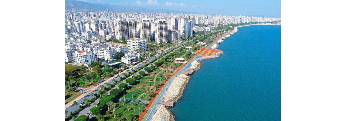 Mersin Ayder Timya Siyah Çay