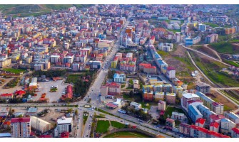 Muş Ayder Timya Siyah Çay