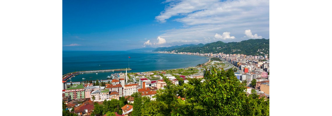 Rize Ayder Timya Siyah Çay