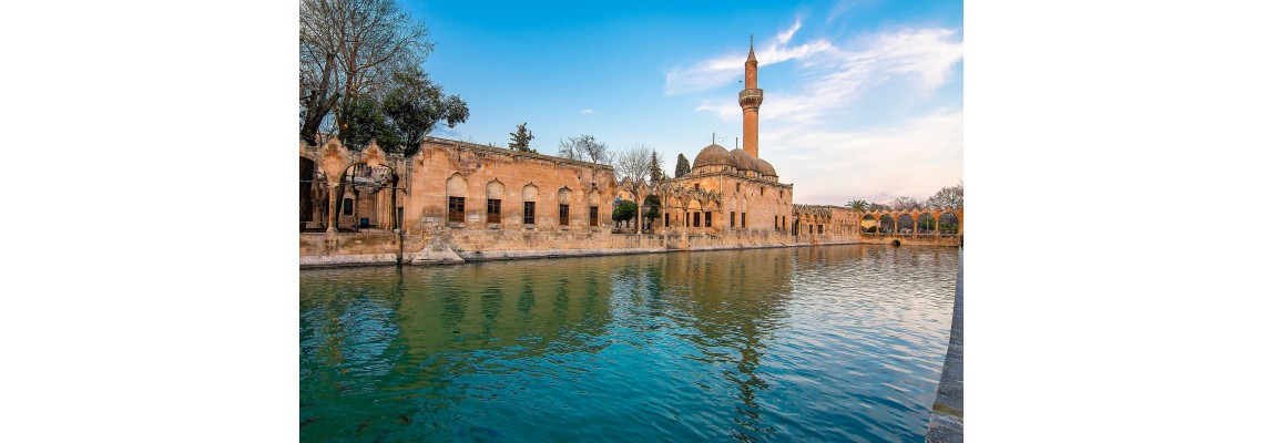 Şanlıurfa Ayder Timya Siyah Çay