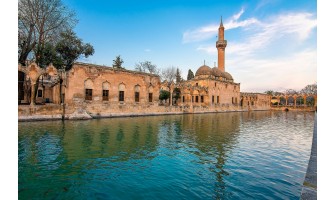 Şanlıurfa Ayder Timya Siyah Çay