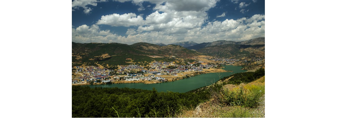 Tunceli Ayder Timya Siyah Çay