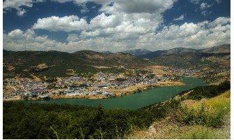 Tunceli Ayder Timya Siyah Çay